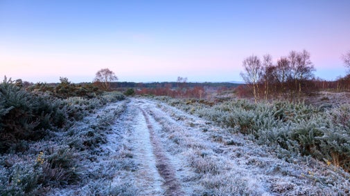 Wide frost covered track through heathland in winter, Ludshott Common, Hampshire